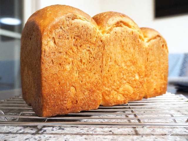 食パンを冷蔵庫に入れるのはダメ！保存の誤解と正しい方法【管理栄養士