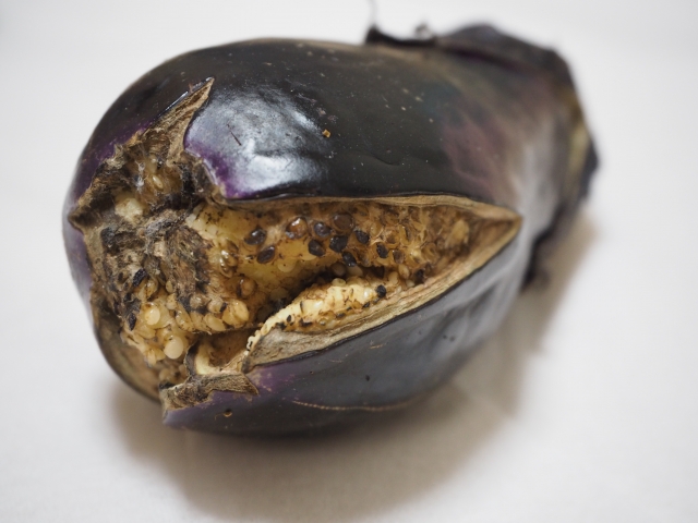なすの種が黒いのは食べられる?原因と腐敗の決定的な見分け方