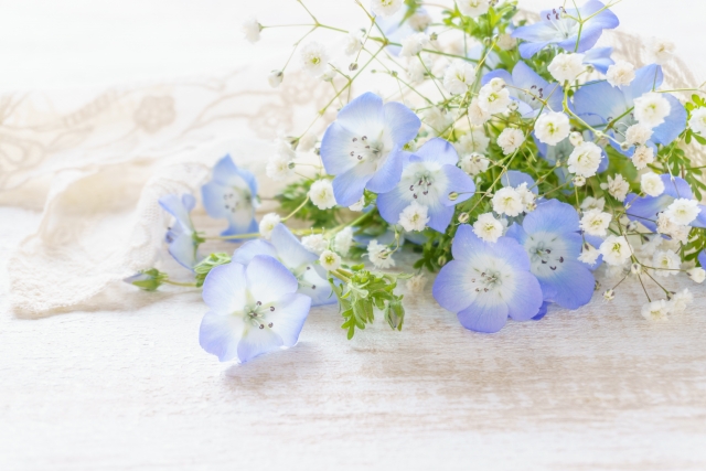 花言葉で「感謝・ありがとう」を伝える花30選！悪い意味もチェック